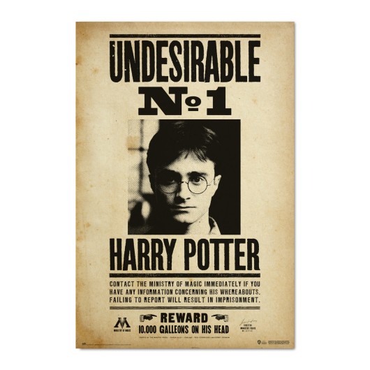 POSTER HARRY POTTER UNDESIRABLE N1