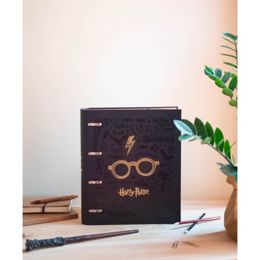 CARPETA 4 ANILLAS PREMIUM HARRY POTTER
