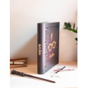 CARPETA 4 ANILLAS PREMIUM HARRY POTTER
