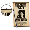 PACK COLGADOR CON POSTER HARRY POTTER 1