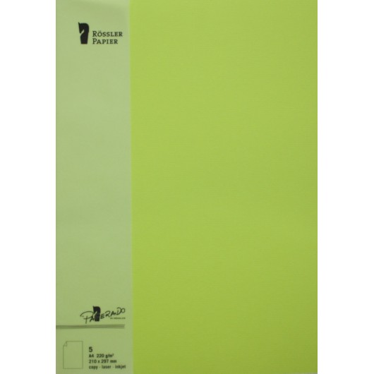 TARJETA A4 PAPERADO 5 UNIDADES VERDE LIMA