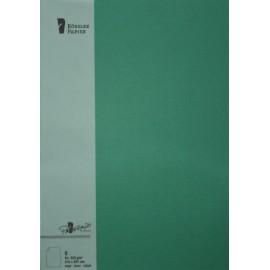 TARJETA A4 PAPERADO 5 UNIDADES VERDE ACEBO