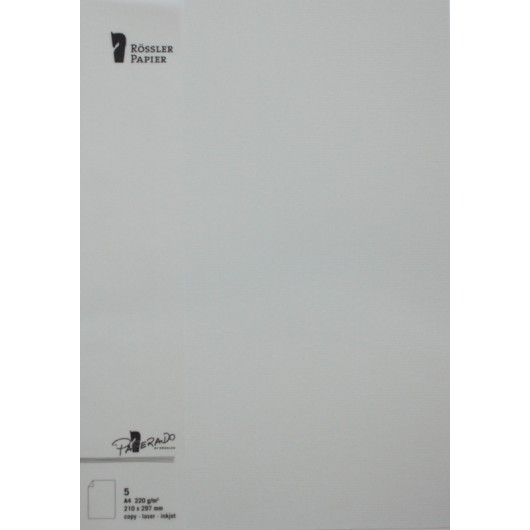 TARJETA A4 PAPERADO 5 UNIDADES GRIS PERLA