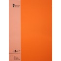 FOLIO A4 PAPERADO 10 UNIDADES NARANJA