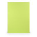 FOLIO A4 PAPERADO 10 UNIDADES VERDE LIMA