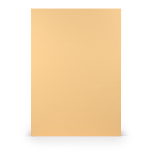 FOLIO A4 PAPERADO 10 UNIDADES MELON