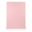 FOLIO A4 PAPERADO 10 UNIDADES ROSA