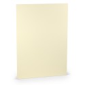 FOLIO A4 COLORETTI 10 UNIDADES CREMA