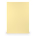 FOLIO A4 COLORETTI 10 UNIDADES MARRON ARENA