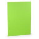 FOLIO A4 COLORETTI 10 UNIDADES VERDE LIMA