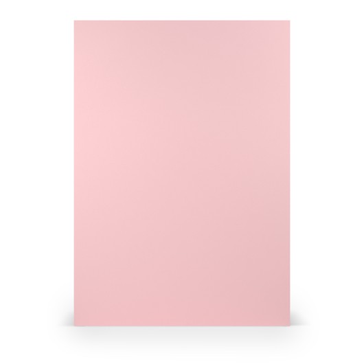 FOLIO A4 COLORETTI 10 UNIDADES ROSA