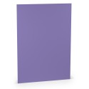 FOLIO A4 COLORETTI 10 UNIDADES LILA