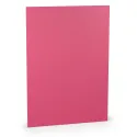 TARJETA A4 COLORETTI 10 UNIDADES FUCSIA