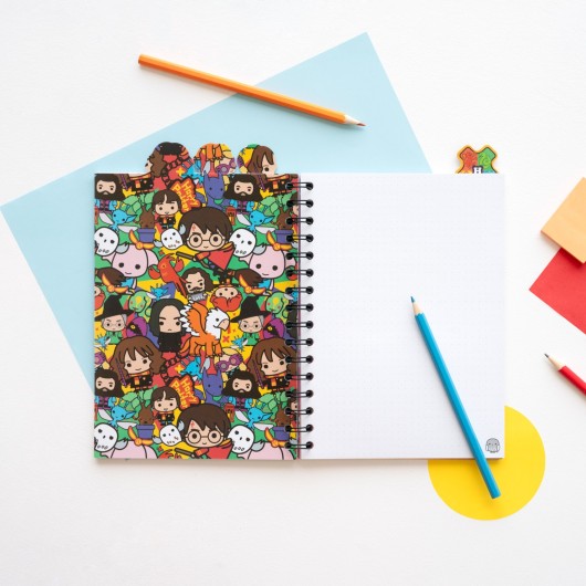 HARRY POTTER PROJECT NOTEBOOK