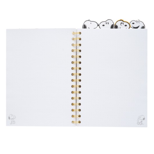 SNOOPY LAZY DAYS PROJECT NOTEBOOK