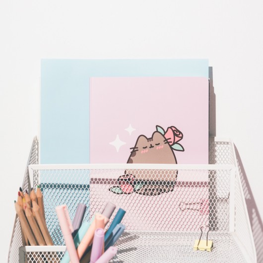 PUSHEEN MOMENTS PACK OF 3 A5 NOTEBOOKS