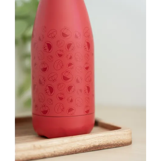 SESAME STREET HOT&COLD 260ML METAL BOTTLE