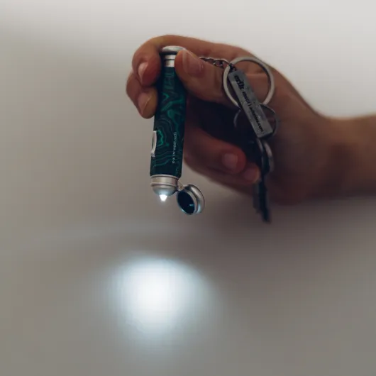 HARRY POTTER DELUMINATOR KEYRING