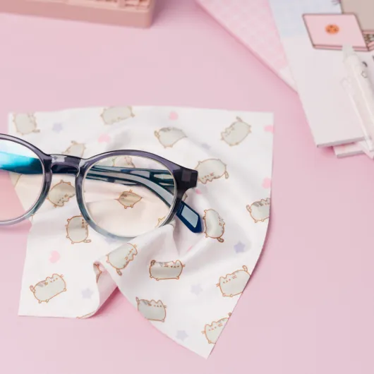 PUSHEEN GLASSES CASE