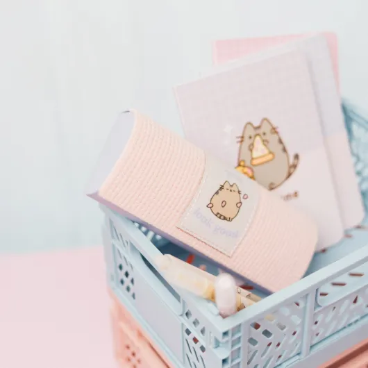 PUSHEEN GLASSES CASE