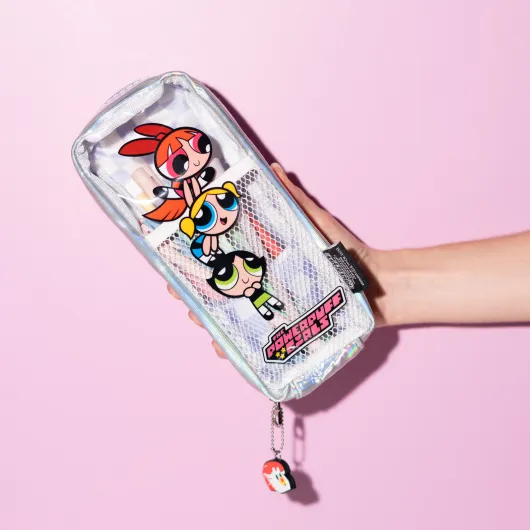 THE POWERPUFF GIRLS WINDOW CASE