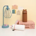 LINE FRIENDS BROWN 3D CASE