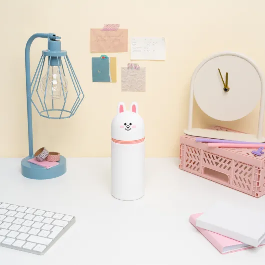 LINE FRIENDS CONY 3D CASE