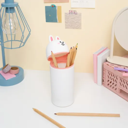 LINE FRIENDS CONY 3D CASE