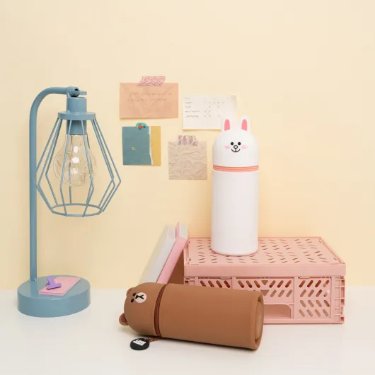 LINE FRIENDS CONY 3D CASE