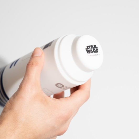 STAR WARS R2-D2 3D CASE
