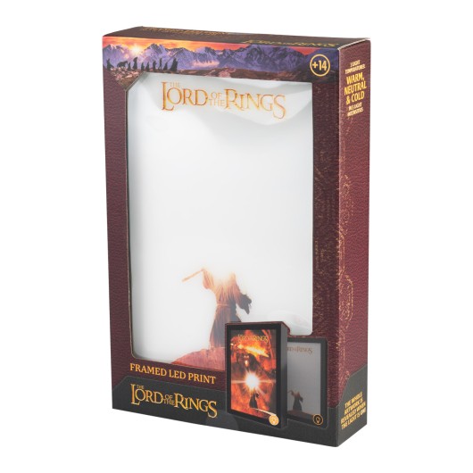 THE LORD OF THE RINGS LED FRAMED PRINT