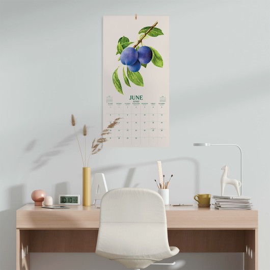 BOTANY FRUITS 2027 30X30 CALENDAR US