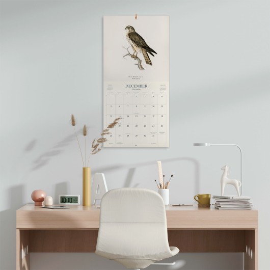 VINTAGE BIRDS 2027 30X30 CALENDAR US