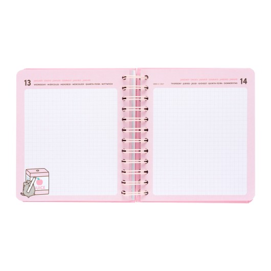 PUSHEEN 2026/2027 DAY PER PAGE M 11 MONTHS ACADEMIC DIARY