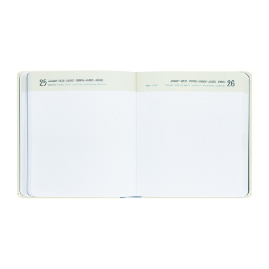 HARRY POTTER 2026/2027 DAY PER PAGE M CASEBOUND 11 MONTHS ACADEMIC DIARY