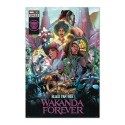 MARVEL BLACK PANTHER WAKANDA FOREVER COMIC POSTER