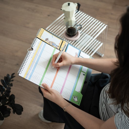 DISNEY PIXAR 2026/2027 PLANNER