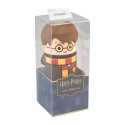 HARRY POTTER HARRY 3D CASE