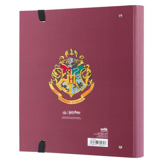 HARRY POTTER 9 3/4 4 RING BINDER