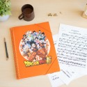 DRAGON BALL A4 PRESENTATION DISPLAY BOOK