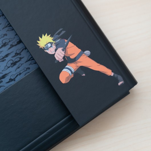 NARUTO SHIPPUDEN FILE FOLDER
