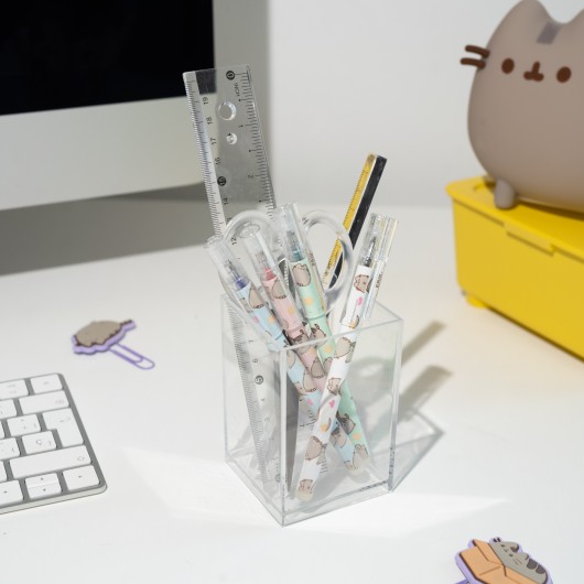 PUSHEEN ERASABLE PEN SET
