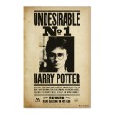 POSTER HARRY POTTER UNDESIRABLE N1