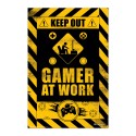POSTER GAMERATION GAMER AT WORK