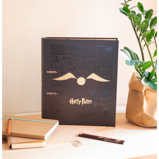 CARPETA 2 ANILLAS PREMIUM HARRY POTTER