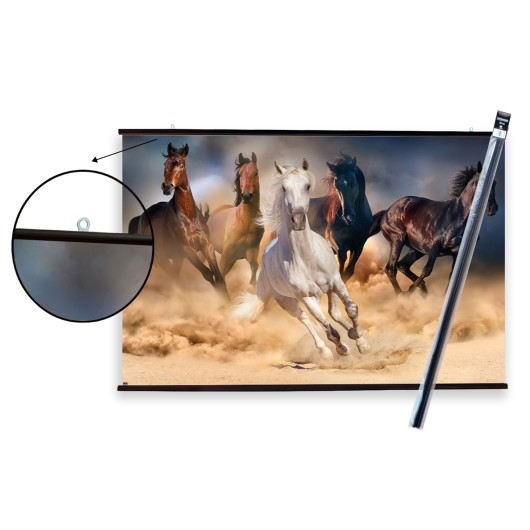 PACK COLGADOR CON POSTER FIVE HORSES