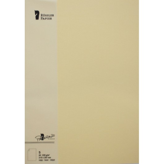 TARJETA A4 PAPERADO 5 UNIDADES MELON