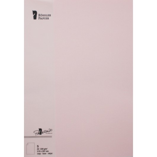 TARJETA A4 PAPERADO 5 UNIDADES ROSA