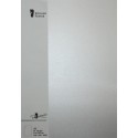 FOLIO A4 PAPERADO 10 UNIDADES PLATA
