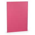 FOLIO A4 PAPERADO 10 UNIDADES FUCSIA